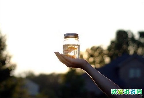 夏天过去秋天来了的文案