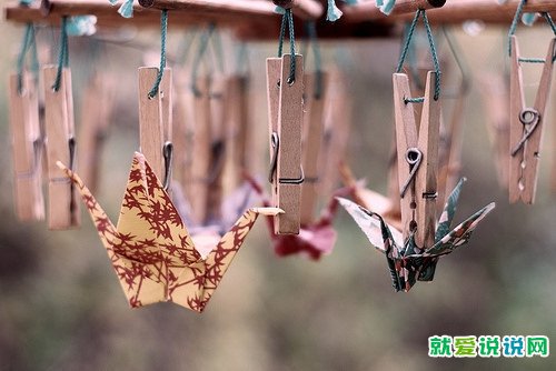 关于家人之间感情的句子