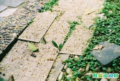 农村道路交通安全宣传标语