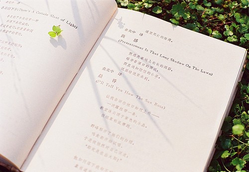 清晨的唯美句子