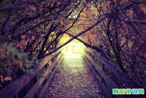 有深度有涵养的句子