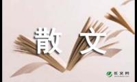 读《丰子恺散文》有感