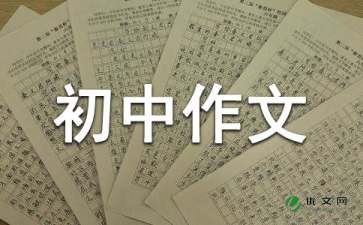 关于误会初中作文集锦10篇