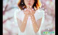 温柔到骨子里的文案八字短句