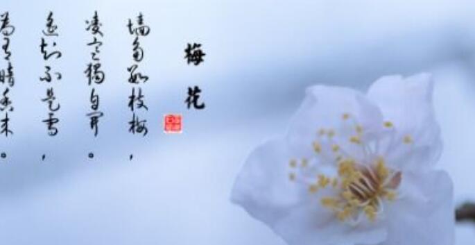 关于含有名花的诗句(含有名花)