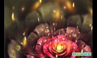 震撼人心的晚安语录