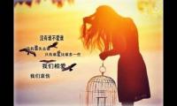关于高逼格文艺励志句子(不积跬步无以致千里)大全