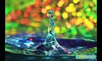 关于制定目标的名言名句