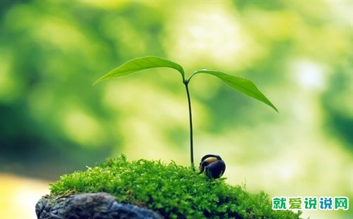 早上吸引朋友圈的句子早安心语