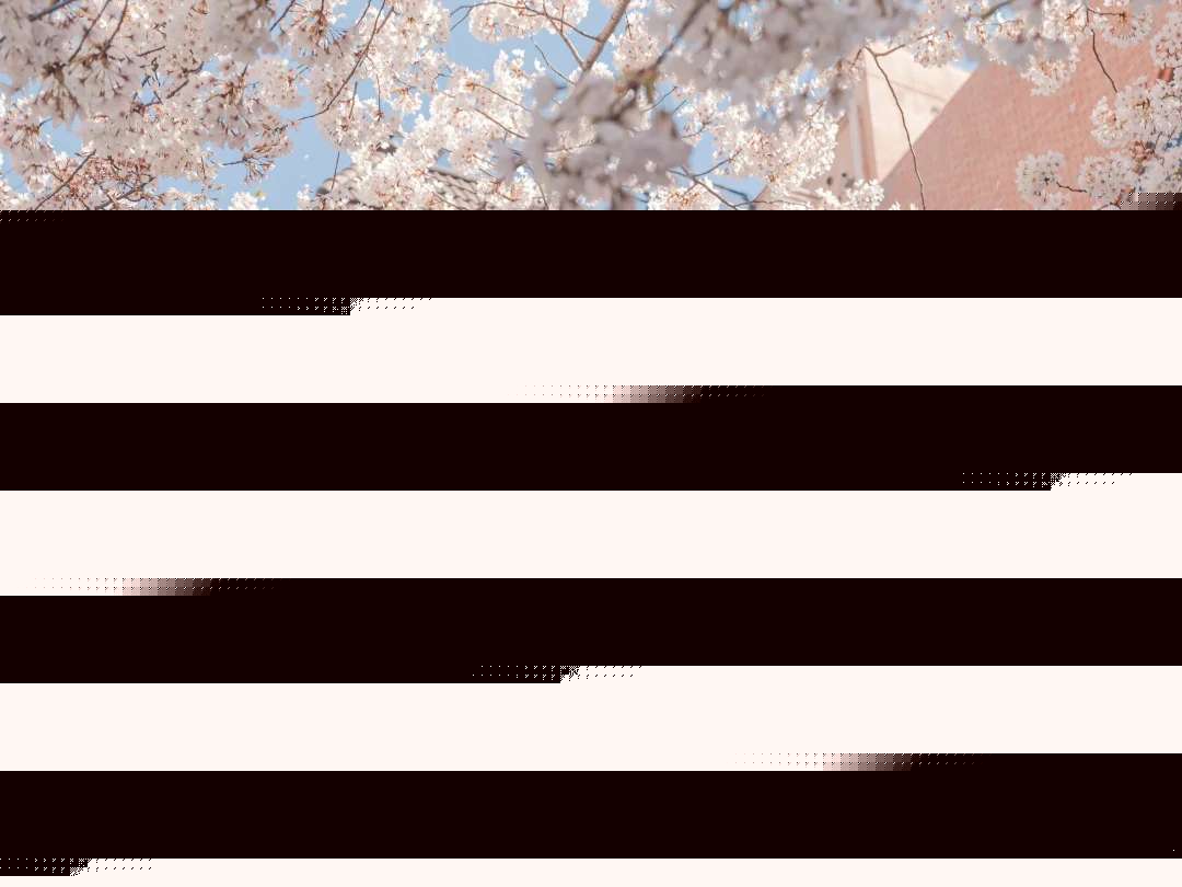 近期火爆朋友圈的晚安小情话