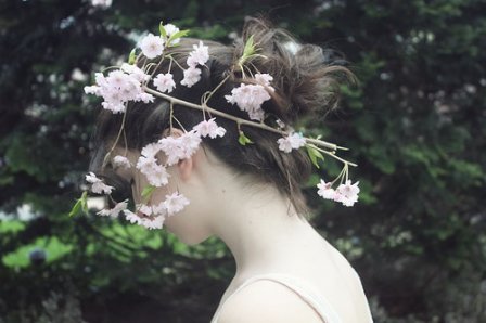 茶的优美句子