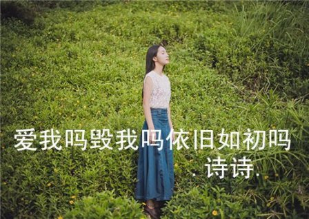 关于爱情的优美古风句子