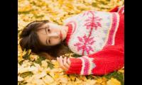 关于写叶子的优美句子(叶子的精美句子)大全