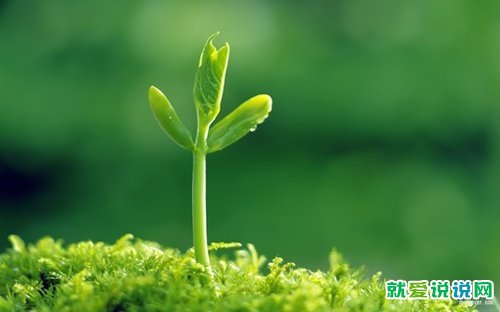 小红书发朋友圈的精美句子