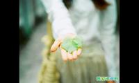 关于立秋的优美句子简单