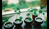 关于信念的励志名言语录大全大全