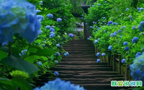 早安正能量励志的句子经典语句