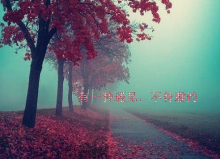 感悟人生的经典句子
