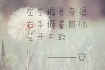 最唯美的句子爱情语录