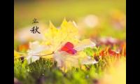 关于养生的优美句子大全
