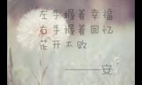 关于最唯美的句子爱情语录(如此温暖过一生)大全