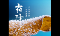 关于霜降节气祝福语【图】