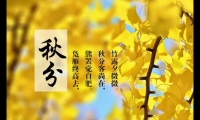 关于秋分祝福语【图】