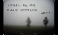关于最喜欢的一句话【图】