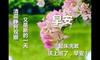 关于每天早上好的问候语【图】