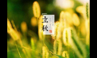 关于立秋问候客户简单祝福 立秋后祝福短信给客户【图】