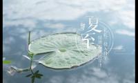 关于有关于细节的优美句子大全