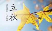 关于立秋朋友圈关心问候语 今日立秋的祝福语【图】