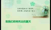 关于炎热夏天的优美句子大全