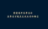 关于荣誉的优美句子大全