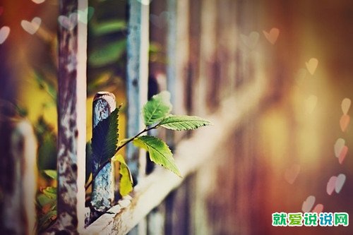 晚安暖心话短句朋友圈