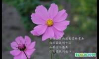 满满的正能量的短句子