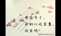 关于抖音爱情语录汇总【图】