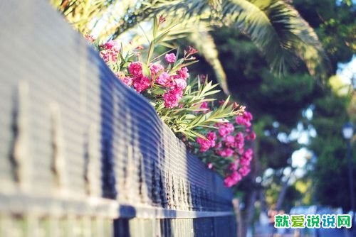 疫情叮嘱朋友注意安全的话