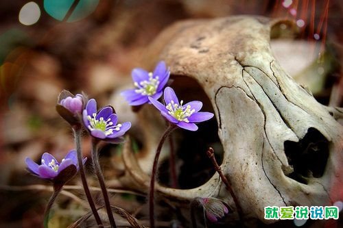 疫情期间对家人的嘱托