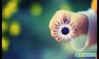 疫情关心家人注意安全的话