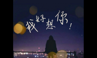 关于想你了怎么高情商表达短句【图】