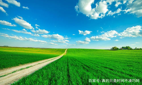 漂亮的句子