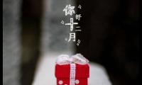 关于十一月再见十二月你好语录大全【图】