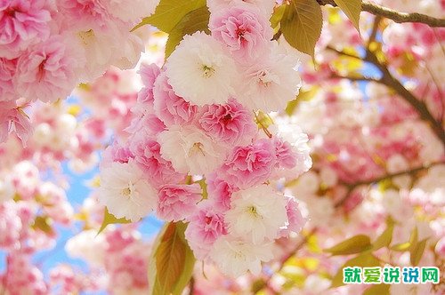 突破困难的句子