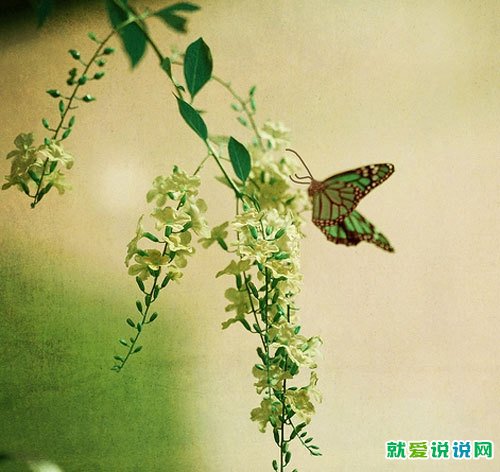 熬夜的心情句子