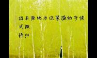 关于神墓的伤感句子大全