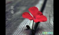 不联系不代表忘记的经典句子