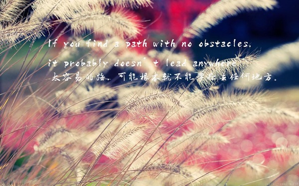 向日葵正能量的句子:把根扎进土里