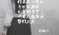 关于兄弟情谊优美句子大全