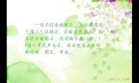 关于情人节的优美句子精选大全
